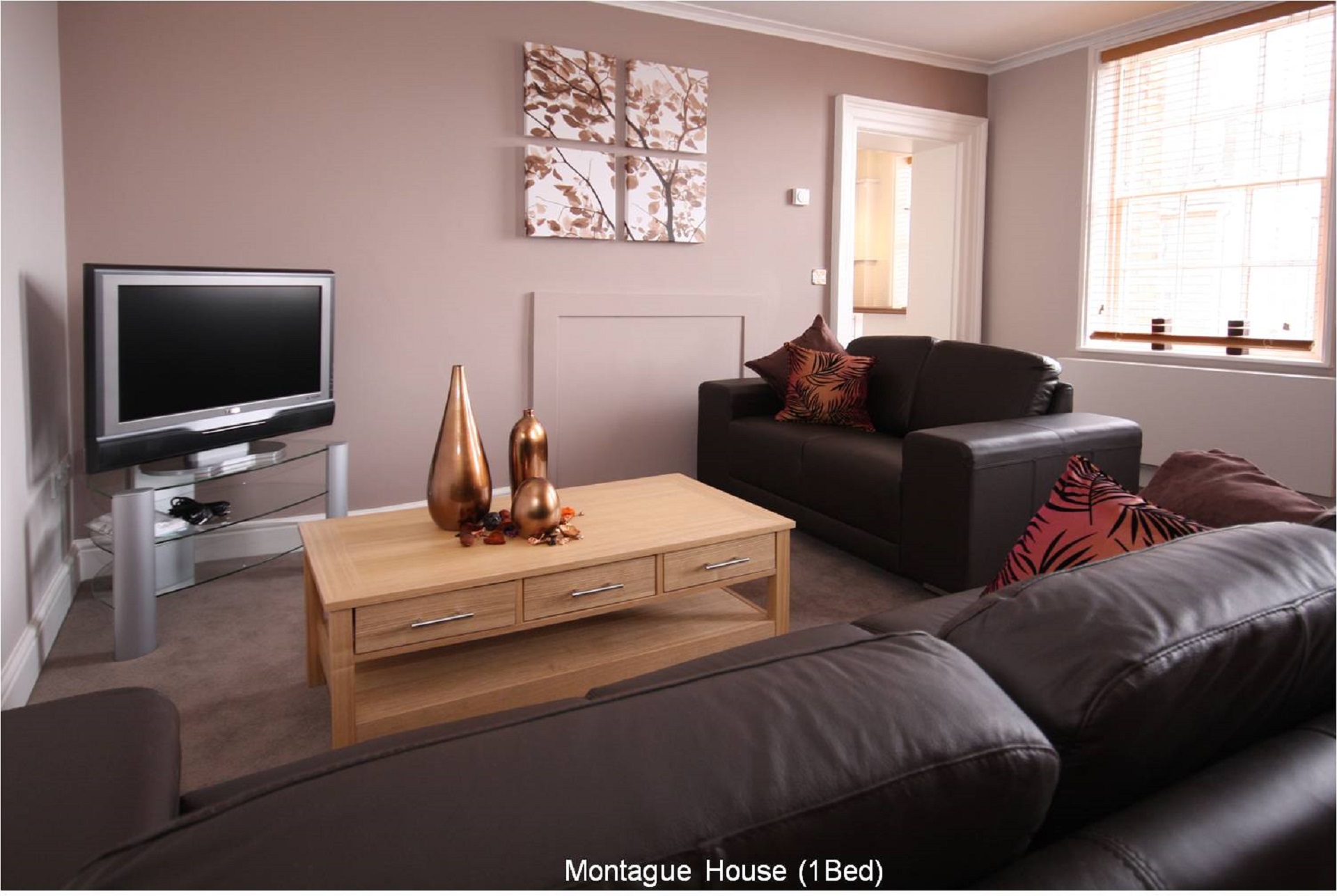 Montague Livingroom (2)
