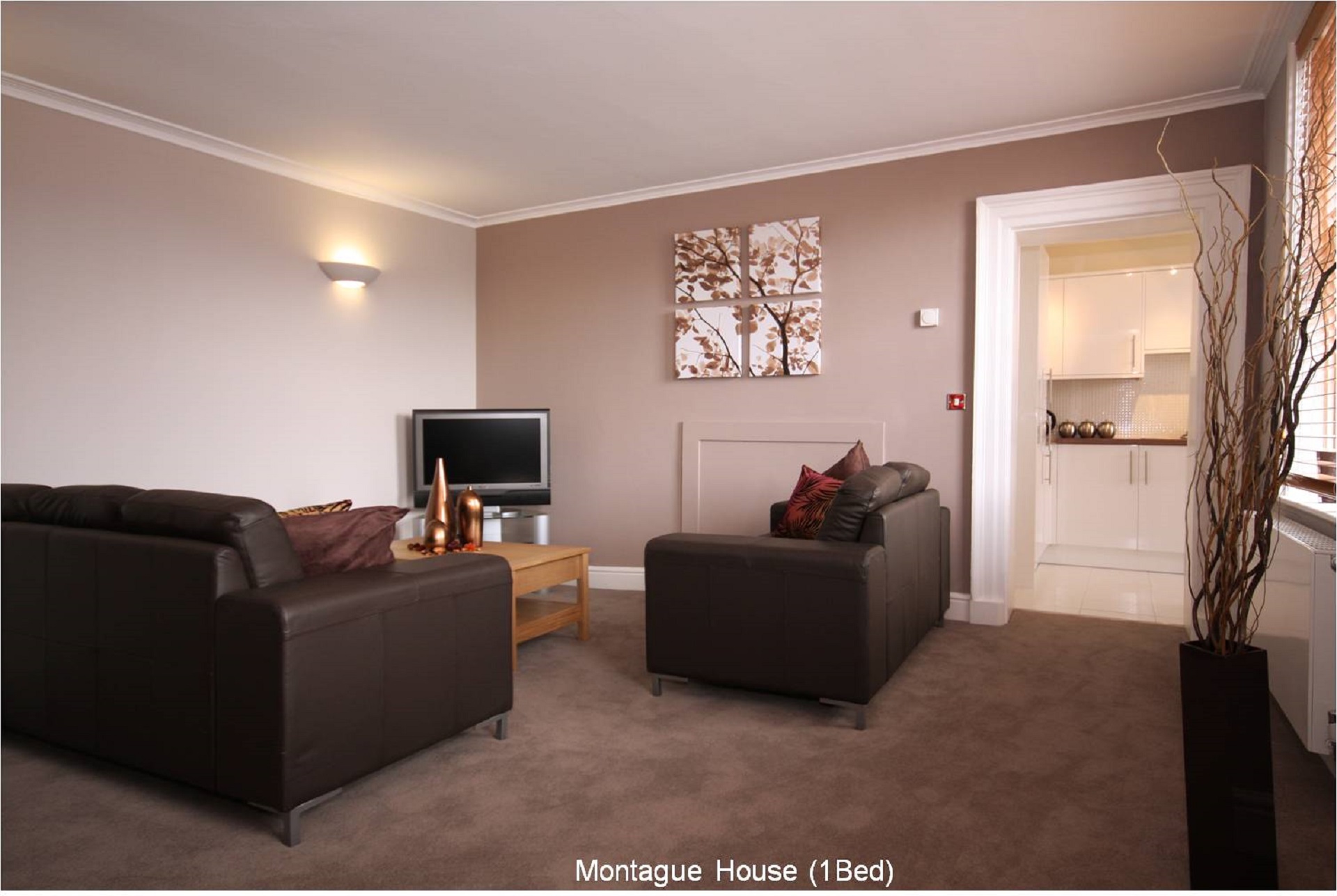 Montague Livingroom