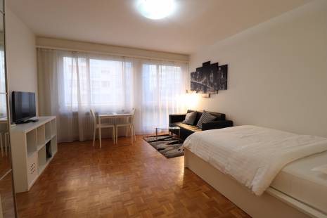 This new bright and furnished studio is ideally located in the center of Geneva. For instance, it is within 5 minutes walking